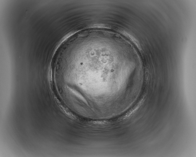 X0000116621125200912181259