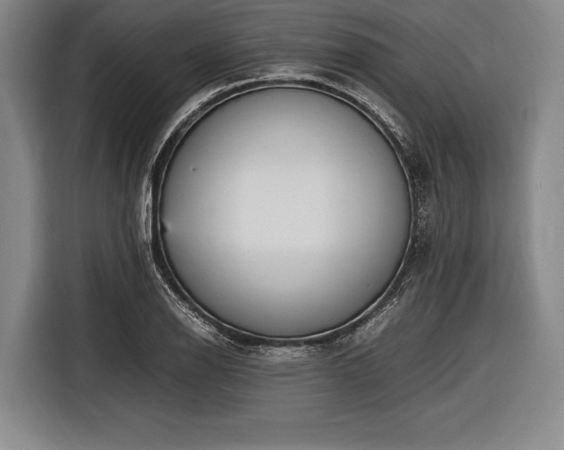 X0000116621126200912181259