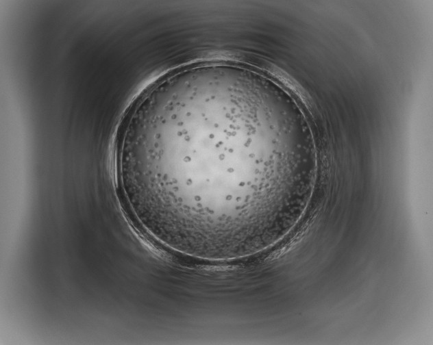 X0000116621127200912181259