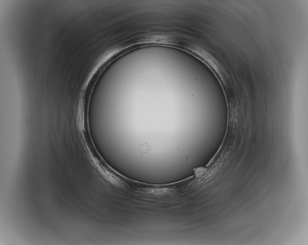 X0000116621131200912181259