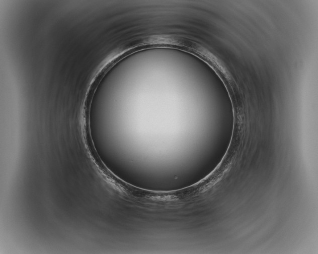X0000116621133200912181259