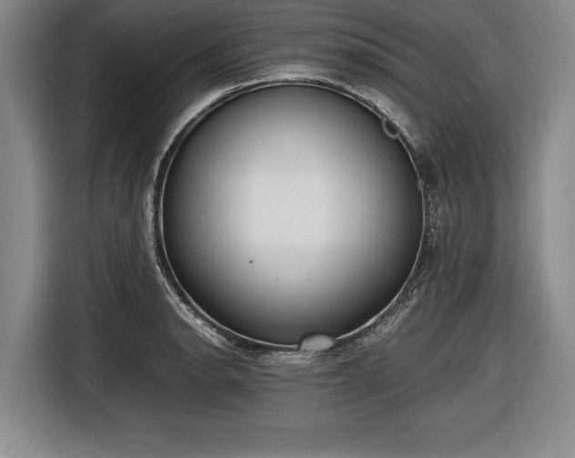 X0000116621134200912181259