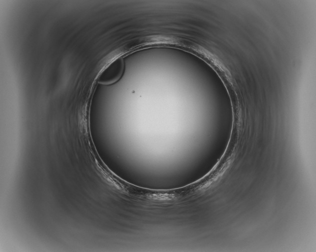 X0000116621137200912181300