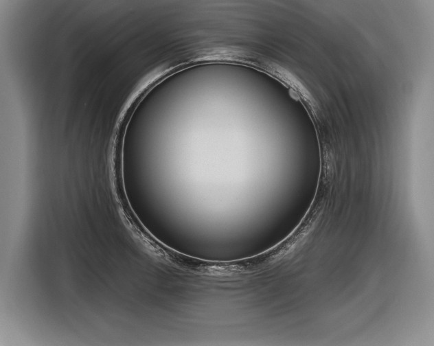 X0000116621138200912181300