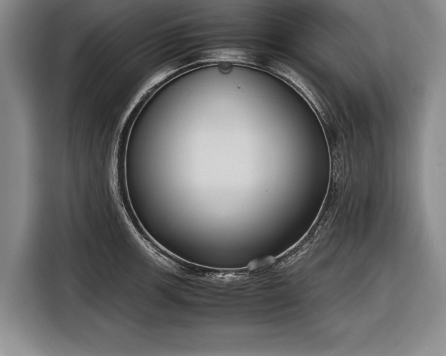 X0000116621139200912181300