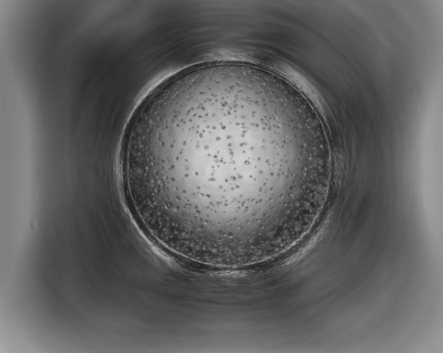 X0000116621141200912181300