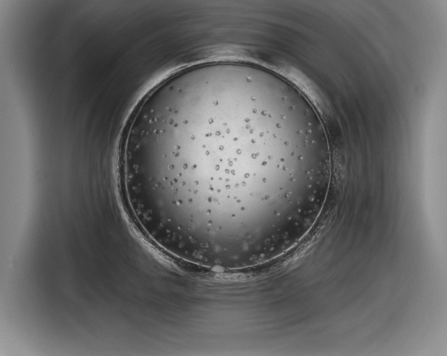 X0000116621142200912181300