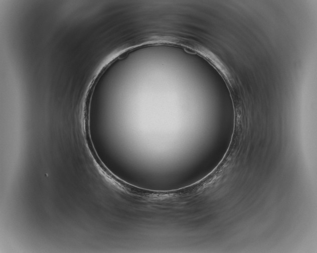 X0000116621143200912181300