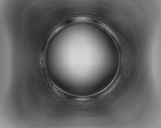 X0000116621145200912181300