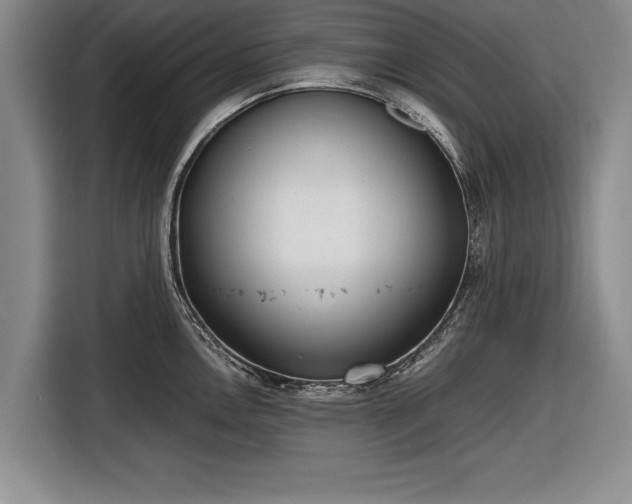 X0000116621146200912181300