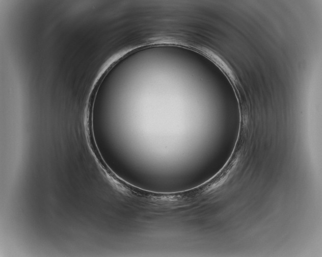X0000116621149200912181300