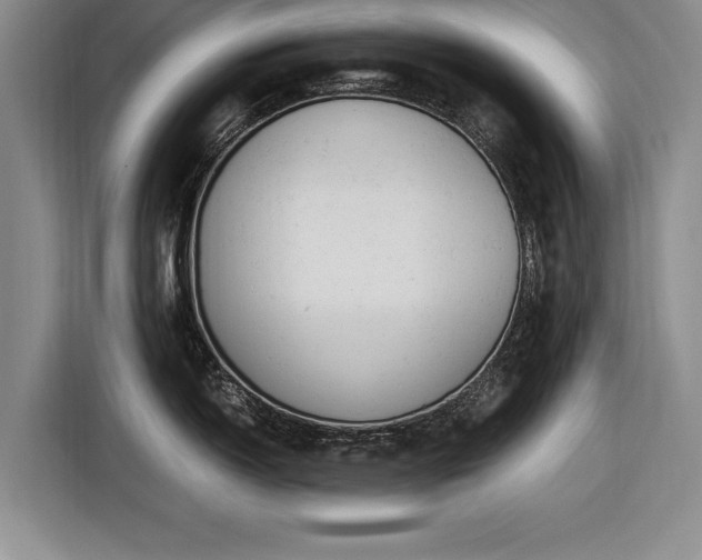 X0000116621150200912181300