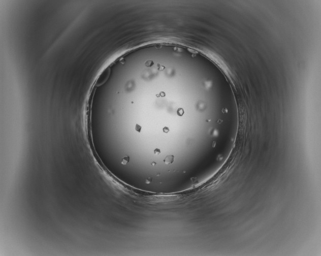 X0000116621151200912181300