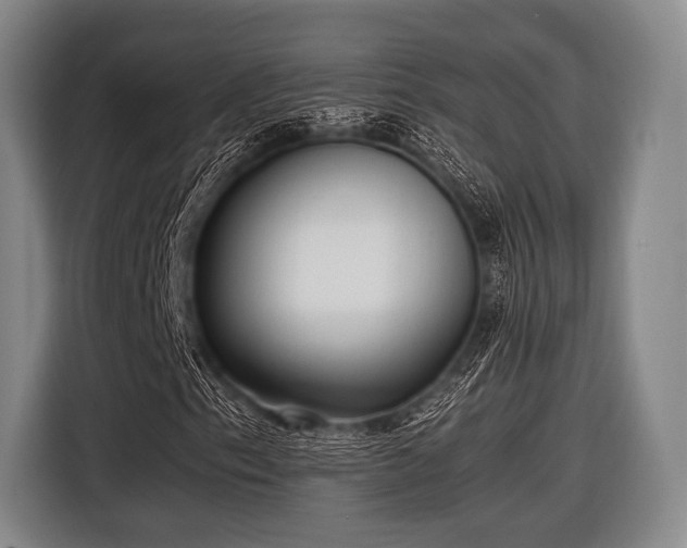 X0000116621153200912181259