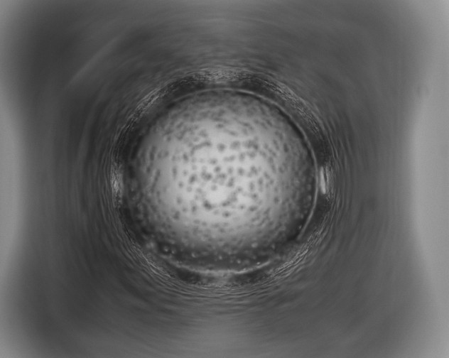 X0000116621155200912181259