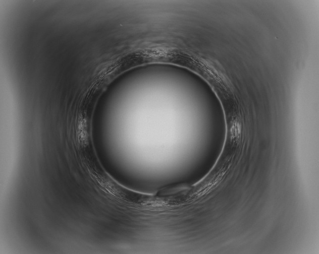 X0000116621156200912181259