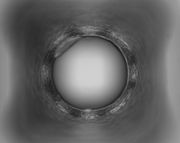 X0000116621157200912181259