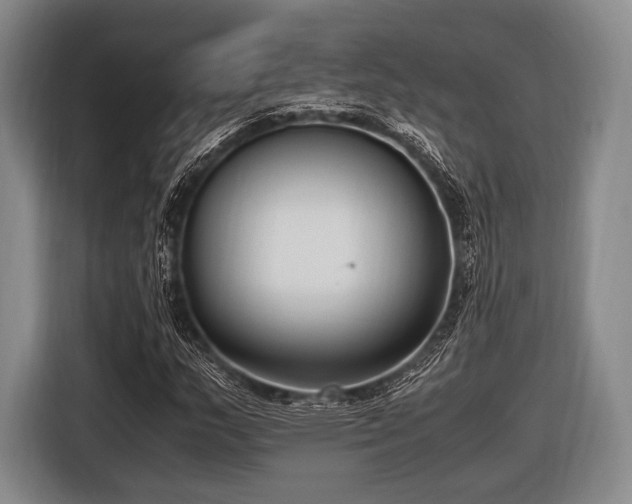 X0000116621159200912181259