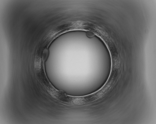 X0000116621161200912181259