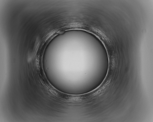 X0000116621162200912181259