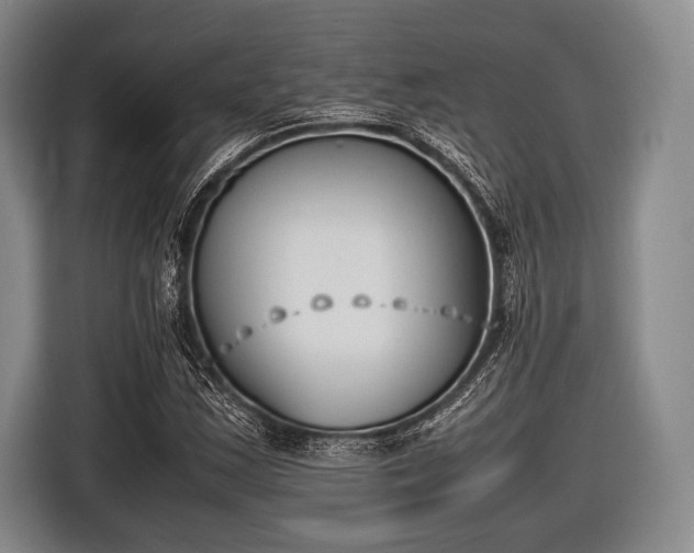 X0000116621163200912181259