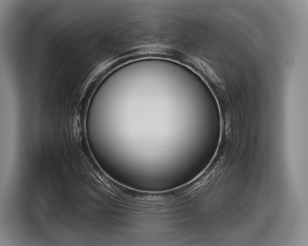 X0000116621164200912181259