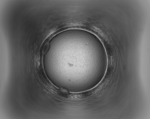 X0000116621165200912181259