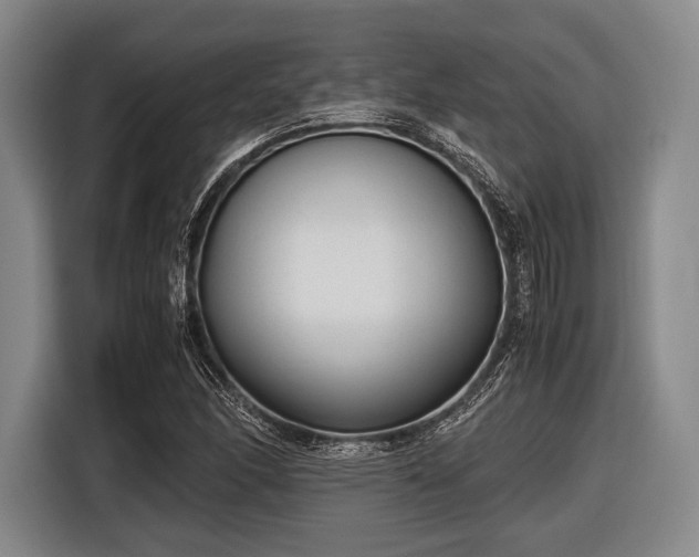 X0000116621166200912181259