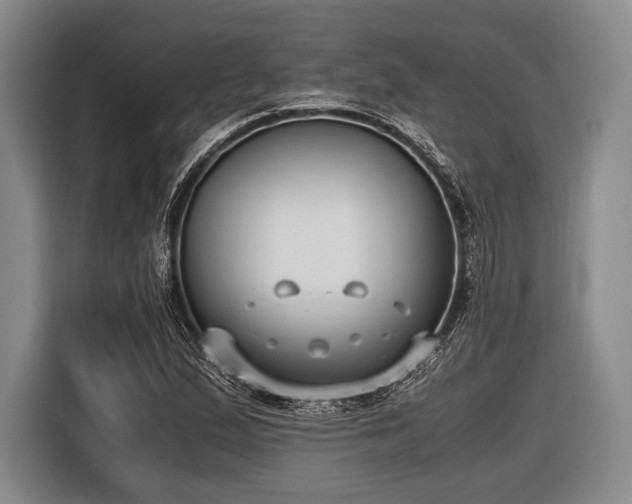 X0000116621167200912181259