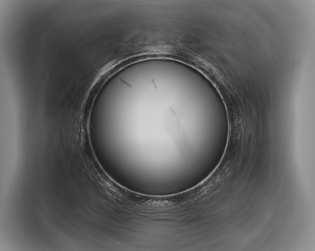 X0000116621168200912181259