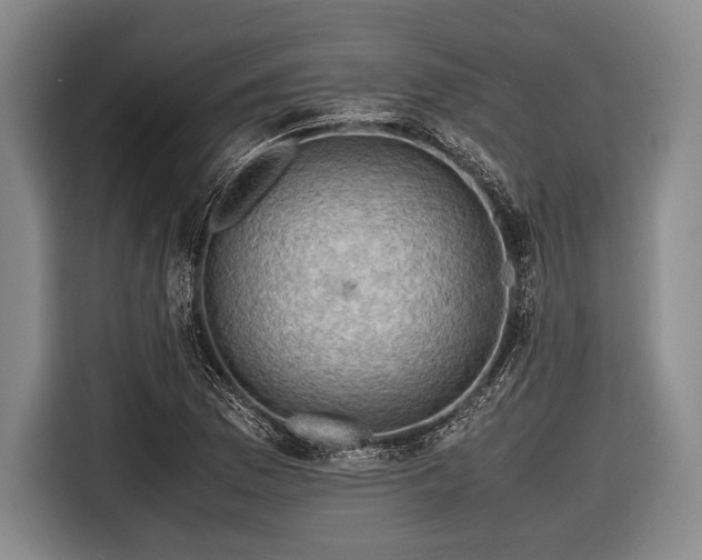 X0000116621169200912181259