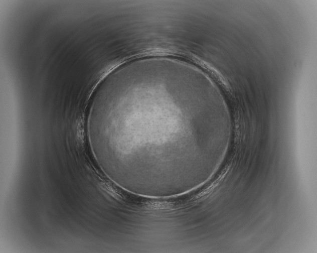 X0000116621170200912181259