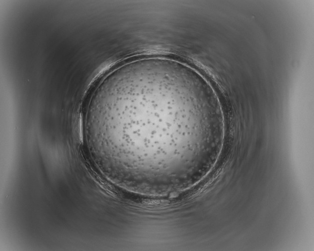 X0000116621171200912181259