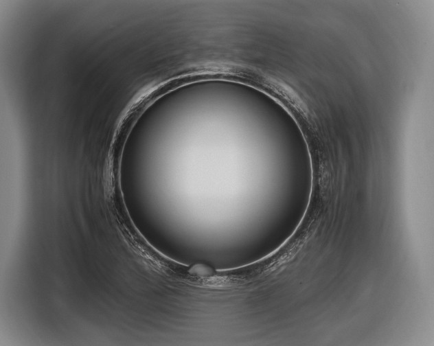 X0000116621172200912181259