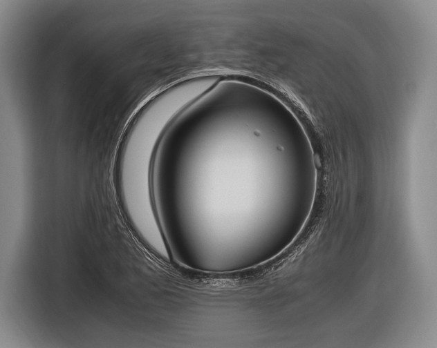 X0000116621173200912181259