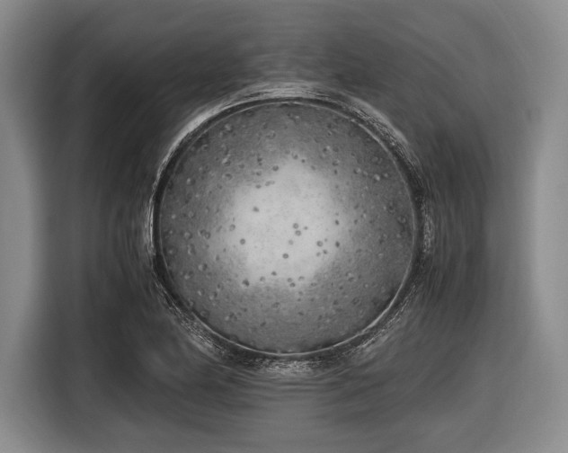 X0000116621174200912181259