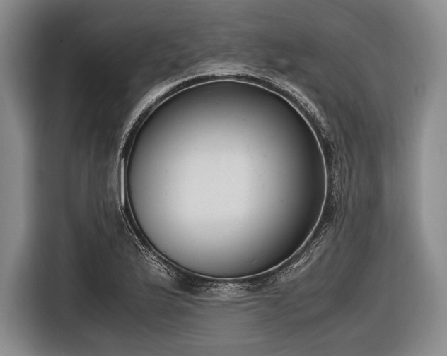 X0000116621175200912181259