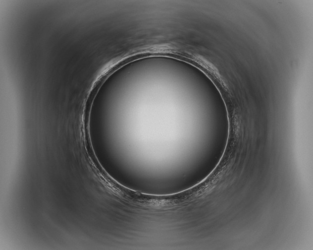 X0000116621176200912181259
