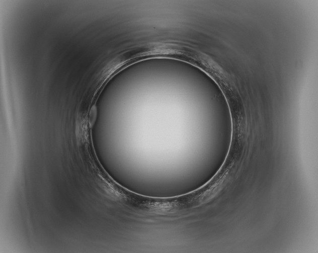 X0000116621177200912181259