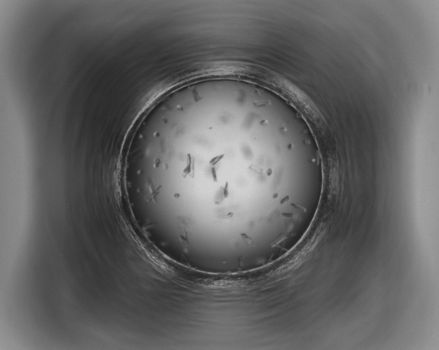 X0000116621178200912181259
