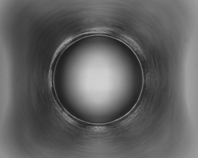 X0000116621180200912181259