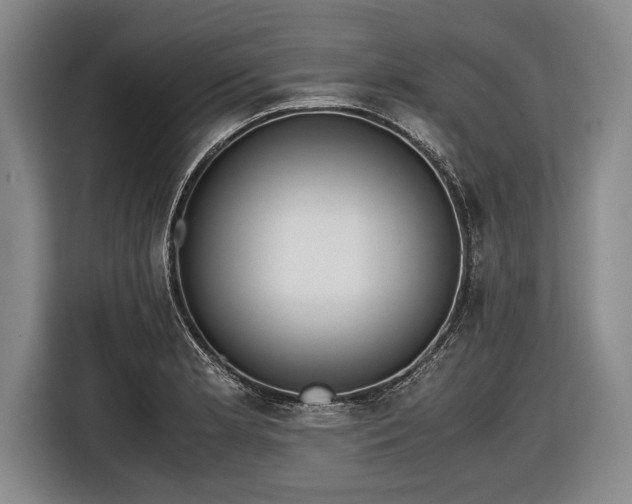 X0000116621181200912181259