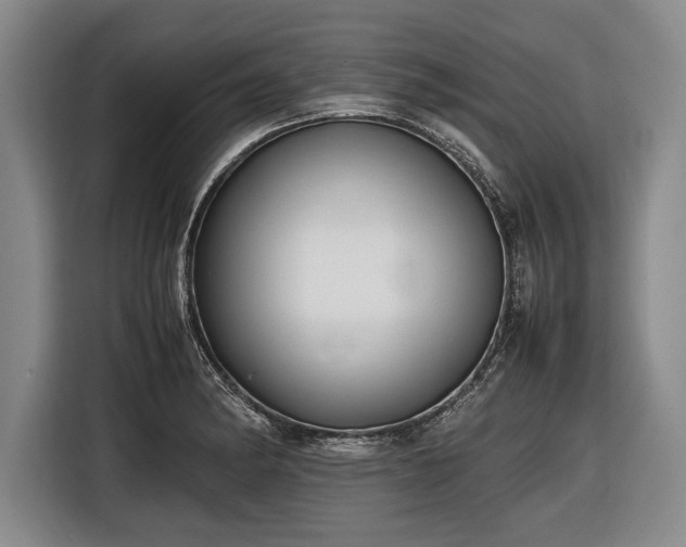 X0000116621182200912181259