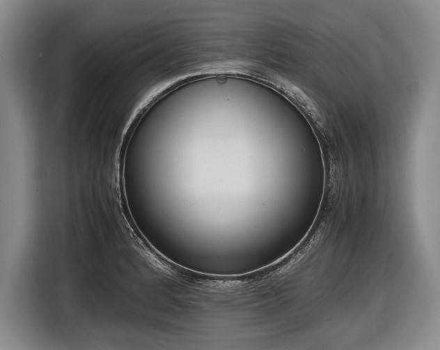 X0000116621184200912181259