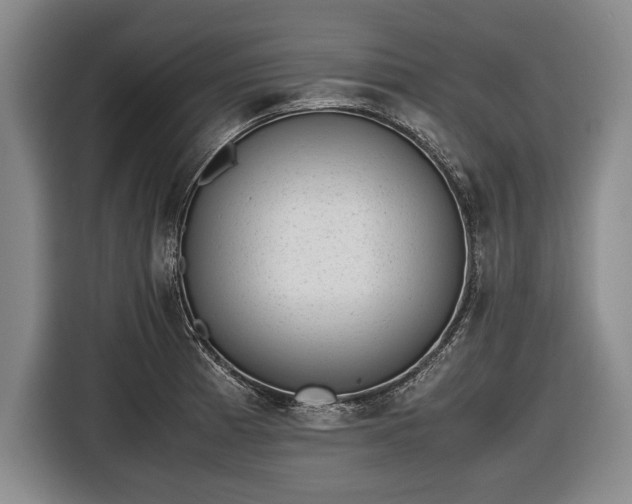 X0000116621185200912181259