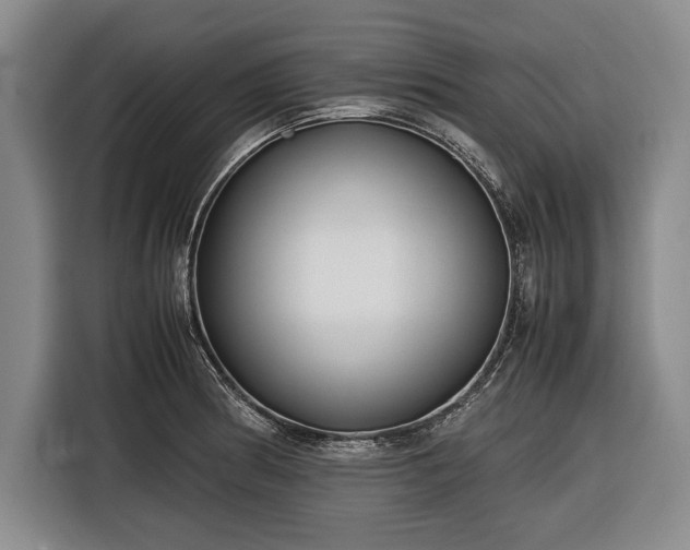X0000116621186200912181259