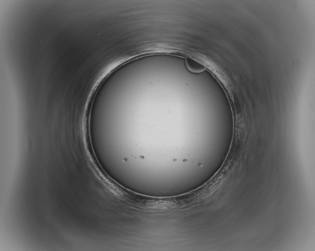 X0000116621187200912181259