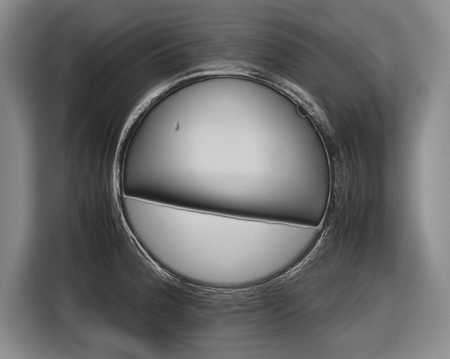 X0000116621188200912181259