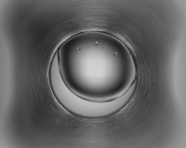X0000116621189200912181259