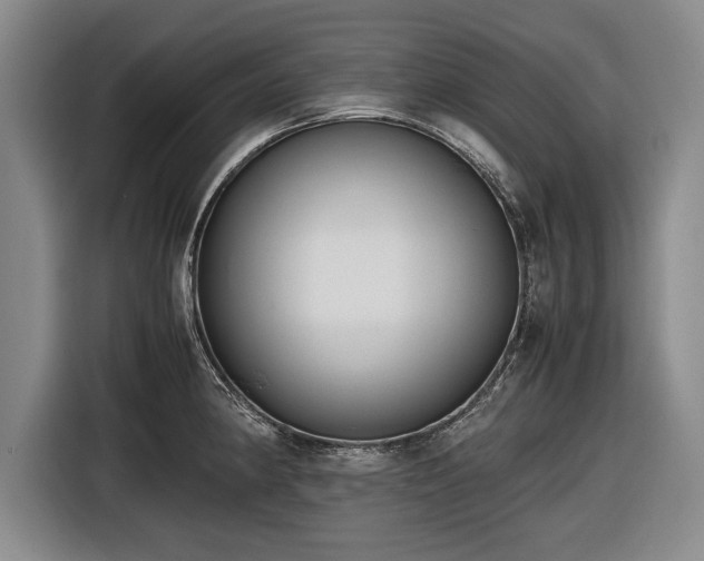 X0000116621190200912181259